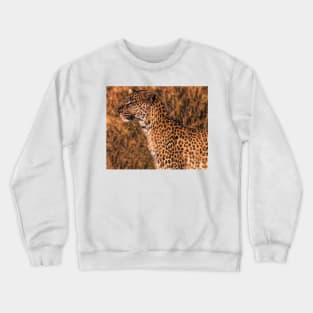 Majestic Crewneck Sweatshirt